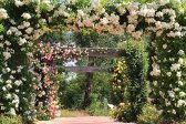 Muttertagsfahrt GARTEN TULLN