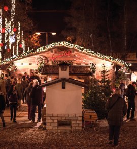  © Michael Werlberger | Kitzbühel Tourismus