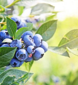  &copy; Thaut Images - stock.adobe.com