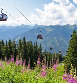  © Henry Czauderna - stock.adobe.com
