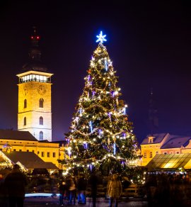  &copy; Sergey Fedoskin - stock.adobe.com