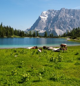  &copy; T. Linack - stock.adobe.com