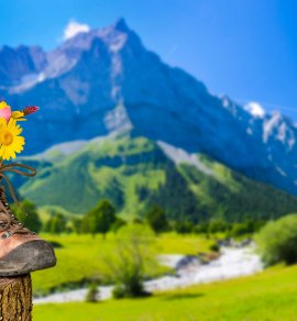  &copy; Wolfilser - stock.adobe.com